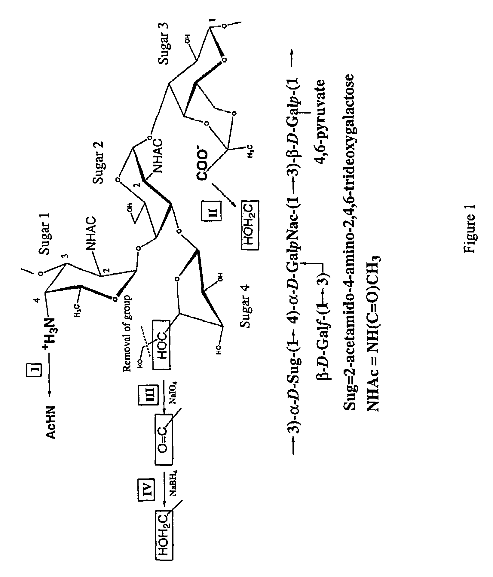 Immunomodulating polymers