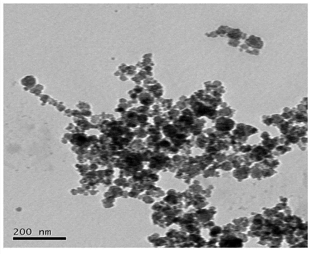 Bifunctional light conversion thin film and preparation method thereof