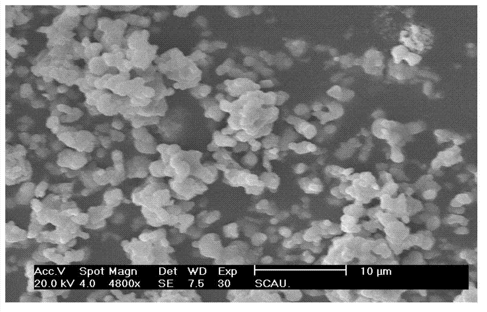 Bifunctional light conversion thin film and preparation method thereof