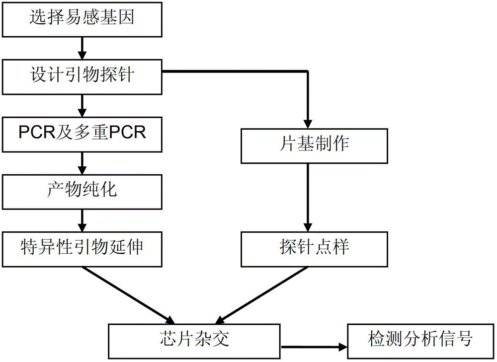 Cleft lip and palate susceptibility gene detection chip and detection method