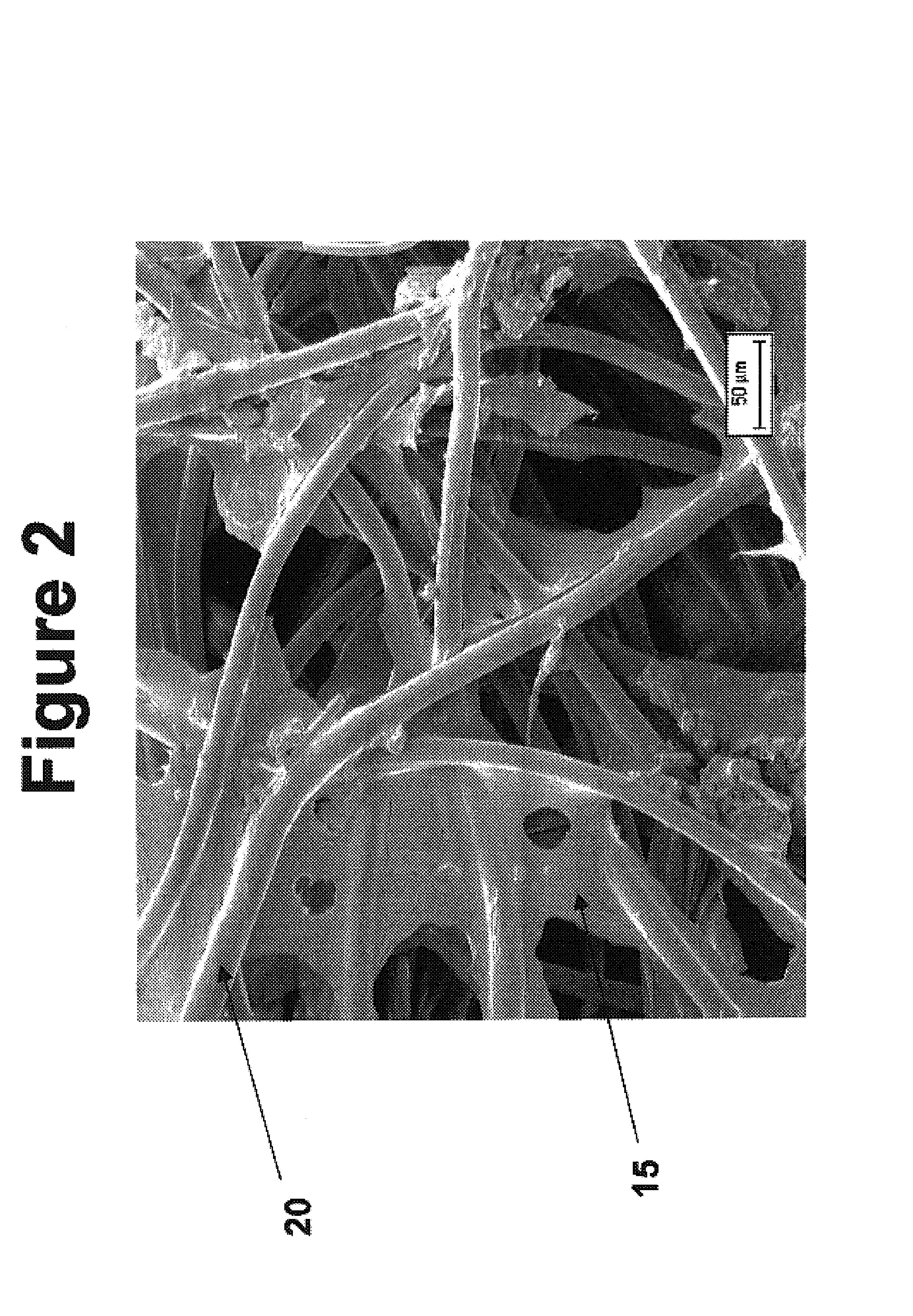 Tissue scaffolds for use in muscoloskeletal repairs