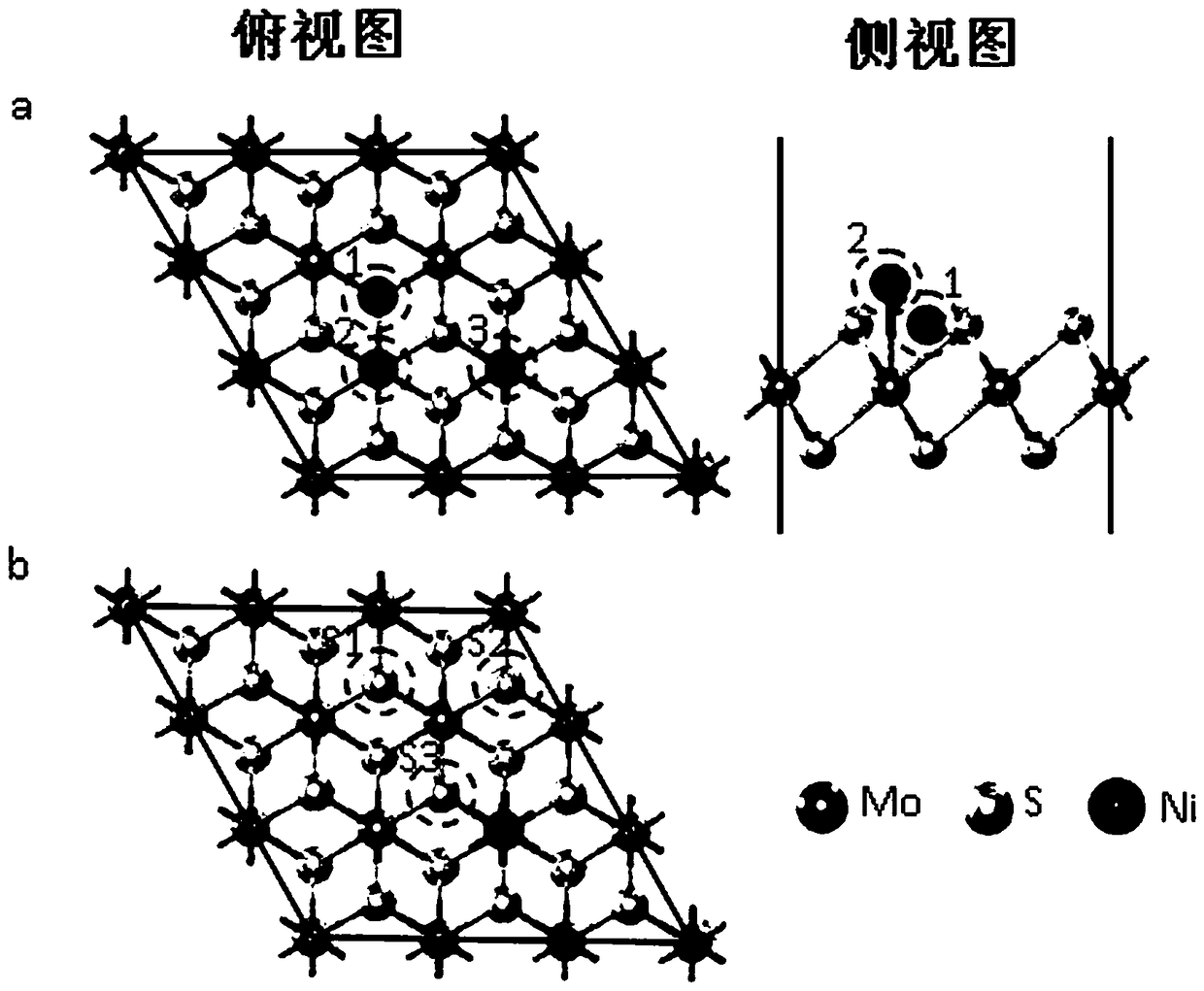 A method for improving catalytic hydrogen evolution performance of molybdenum disulfide