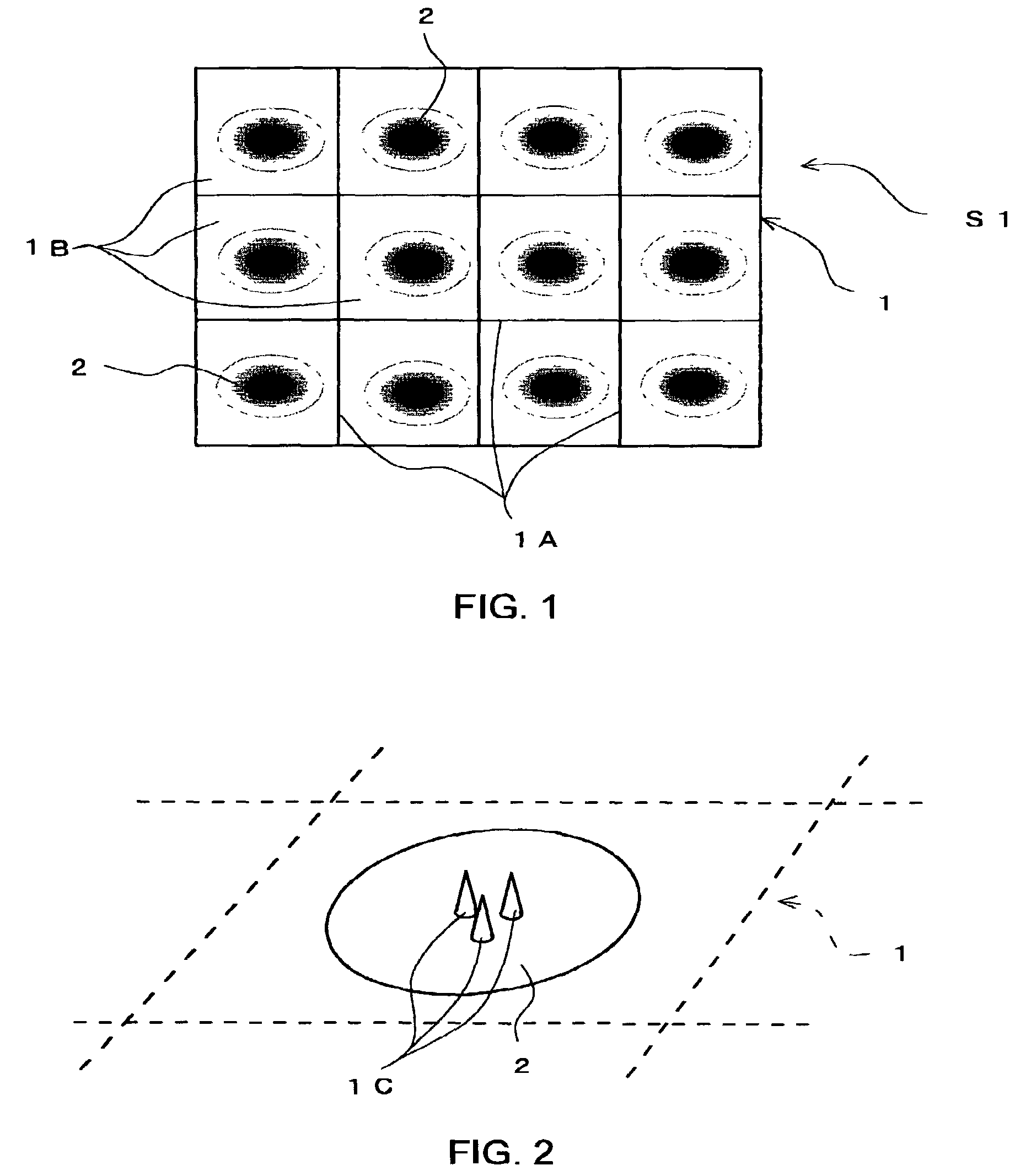 Skin test device