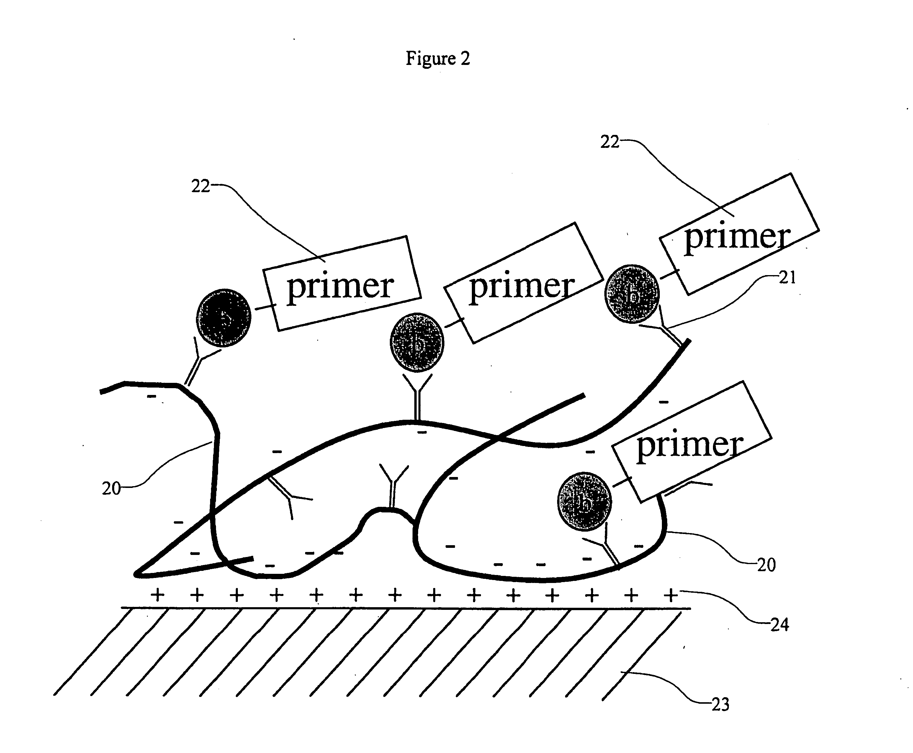 High density sequence detection methods and apparatus