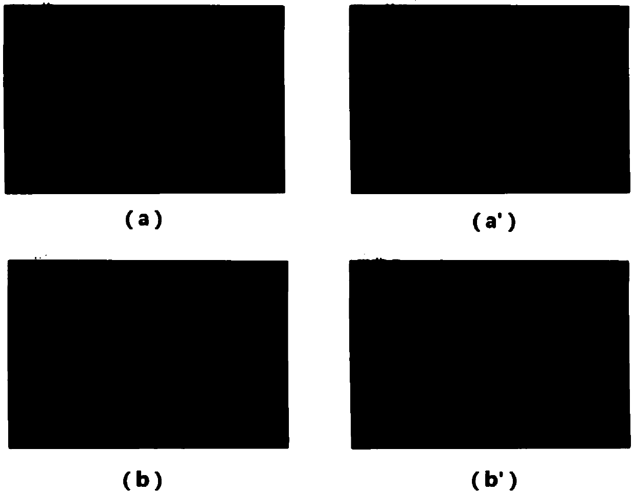 Foamed rubber and preparation method thereof