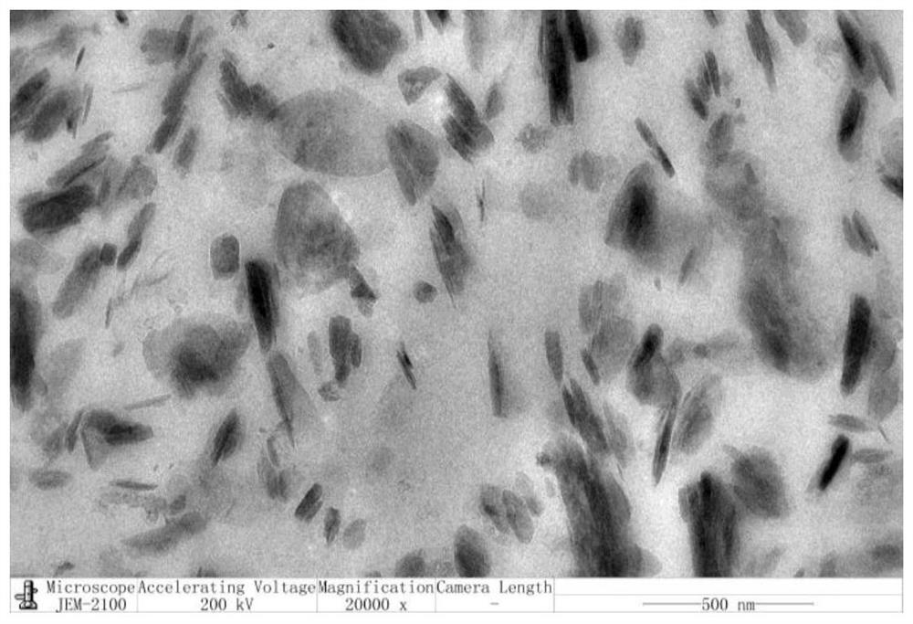 A kind of high-performance dynamically vulcanized thermoplastic elastomer and its preparation method