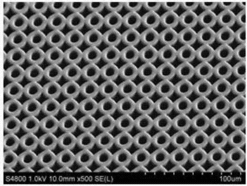 Synergistic antifouling material based on microstructures and antifouling active substances and preparation method thereof