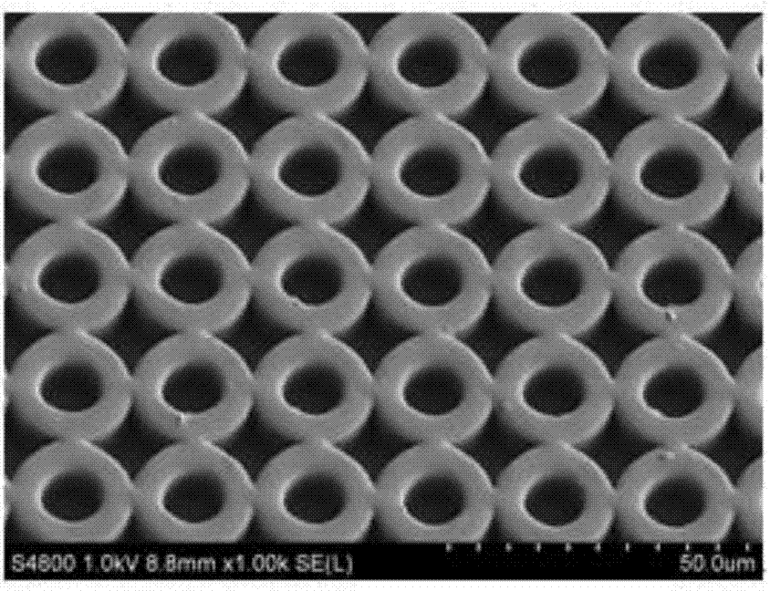 Synergistic antifouling material based on microstructures and antifouling active substances and preparation method thereof