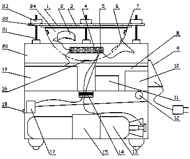 Hyperbaric oxygen chamber for animal experiment