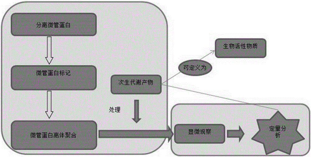 Screening method for active substances of plants