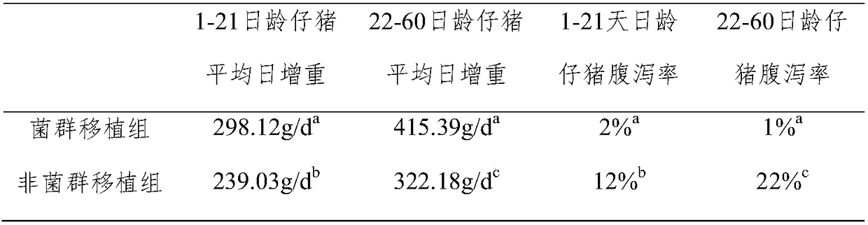 Method for forming normal healthy functional bacterial flora in intestinal tracts of newborn piglets in early period