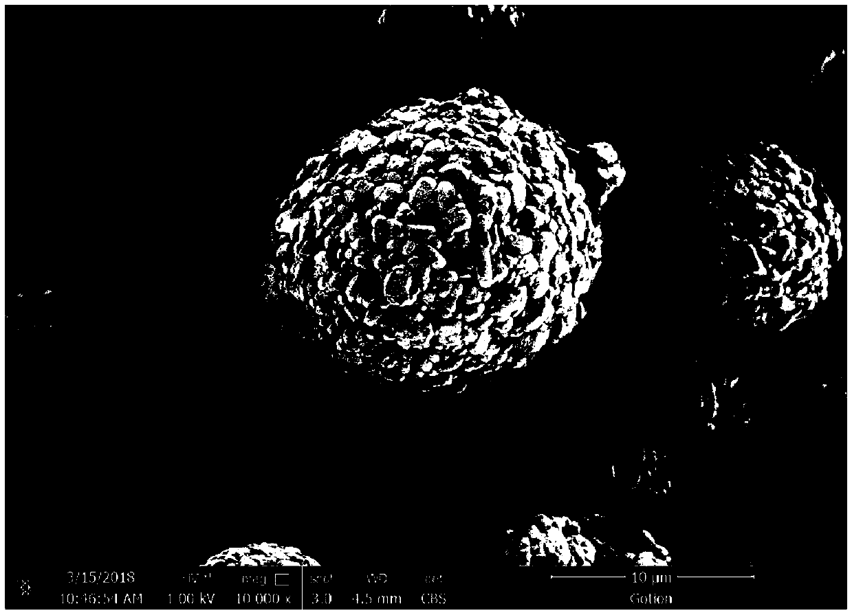 Aluminum oxide coated nickel-cobalt-manganese ternary positive electrode material, preparation method and application thereof