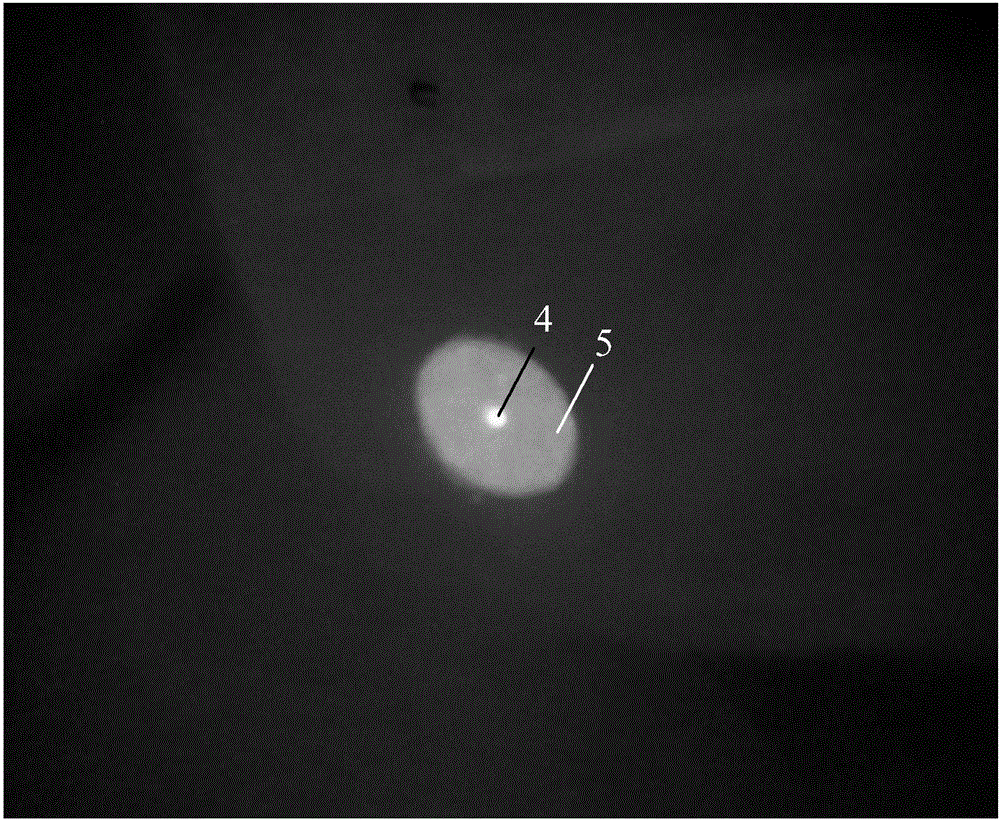 Method for measuring cladding light proportion of double-clad fiber laser