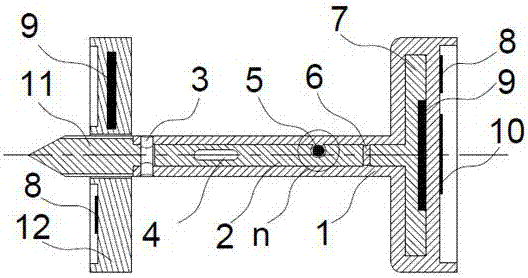 Traceable tag for large yellow croaker