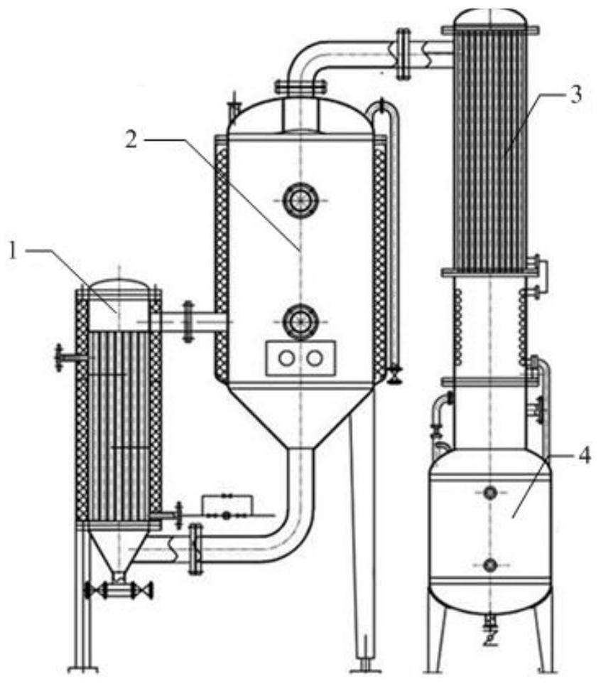 Concentrated clam dew and preparation method thereof