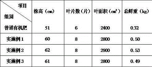 Ecological organic fertilizer and preparation method thereof