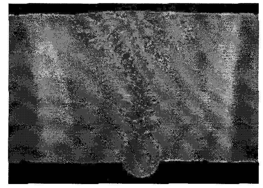 Application of laser in low activation martensitic steel welding and welding method