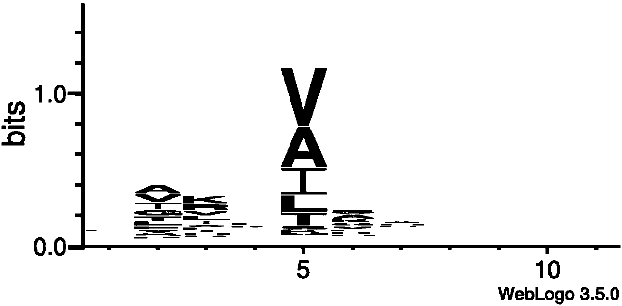 Protein analysis method based on hydrophobic amino acid specific protease