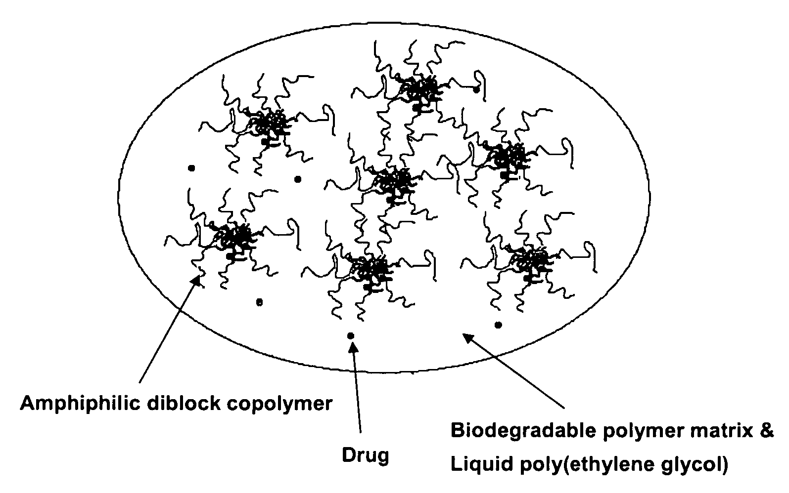 Composition for sustained delivery of hydrophobic drugs and process for the preparation thereof