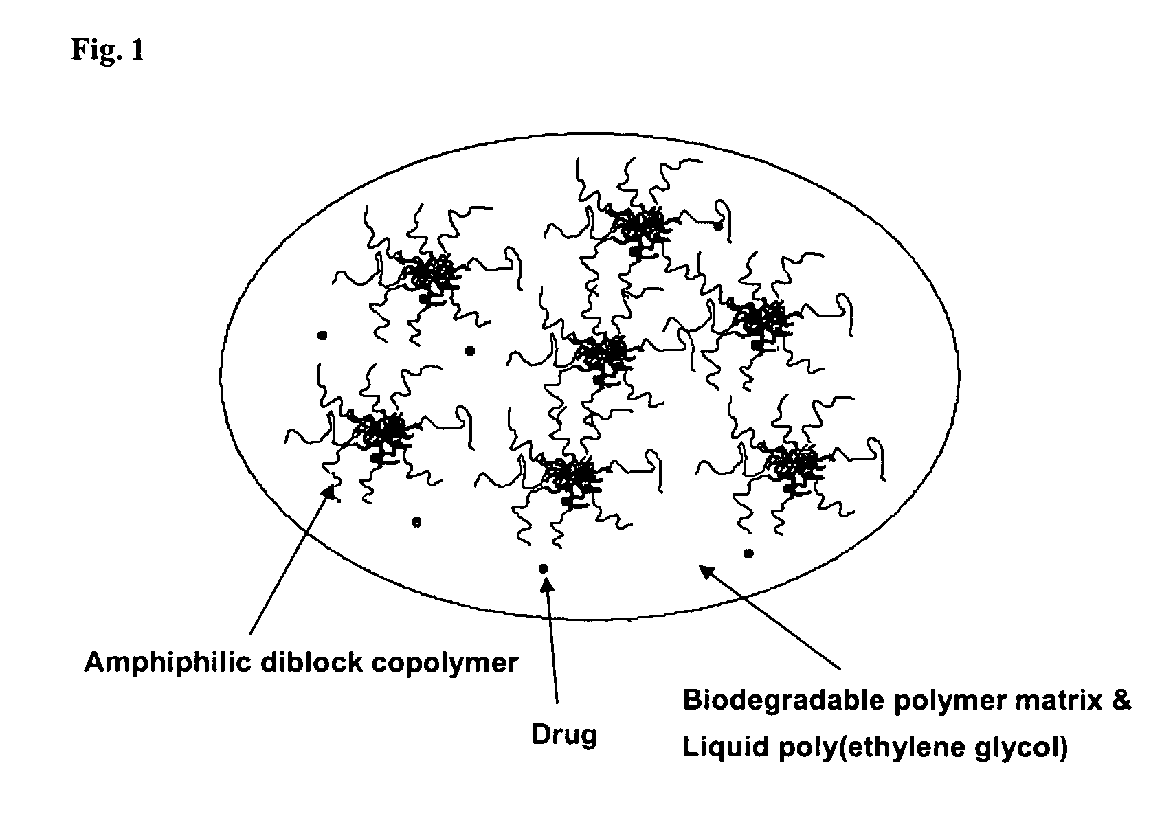 Composition for sustained delivery of hydrophobic drugs and process for the preparation thereof