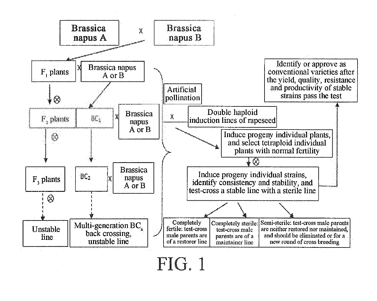 Method for breeding brassica napus varieties and materials with double haploid induction line of rapeseed