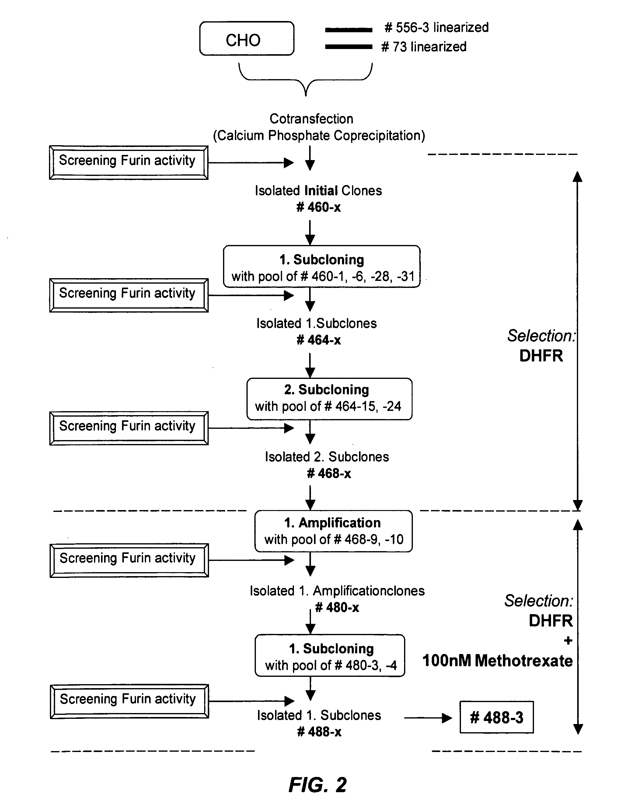 Substantially animal protein-free recombinant furin and methods for producing same