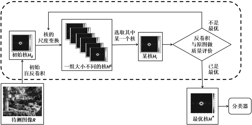 Image resampling operation detection method