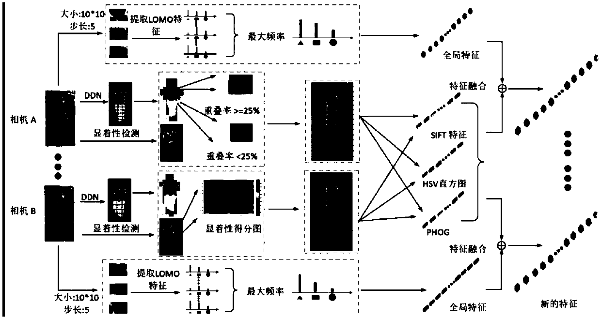 Pedestrian re-recognition method based on body decomposition and significance detection