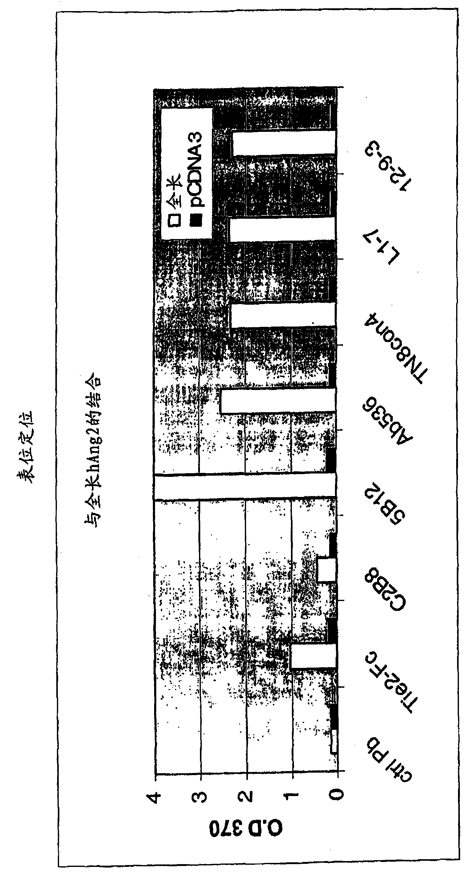 Angiopoietin-2 specific binding agents