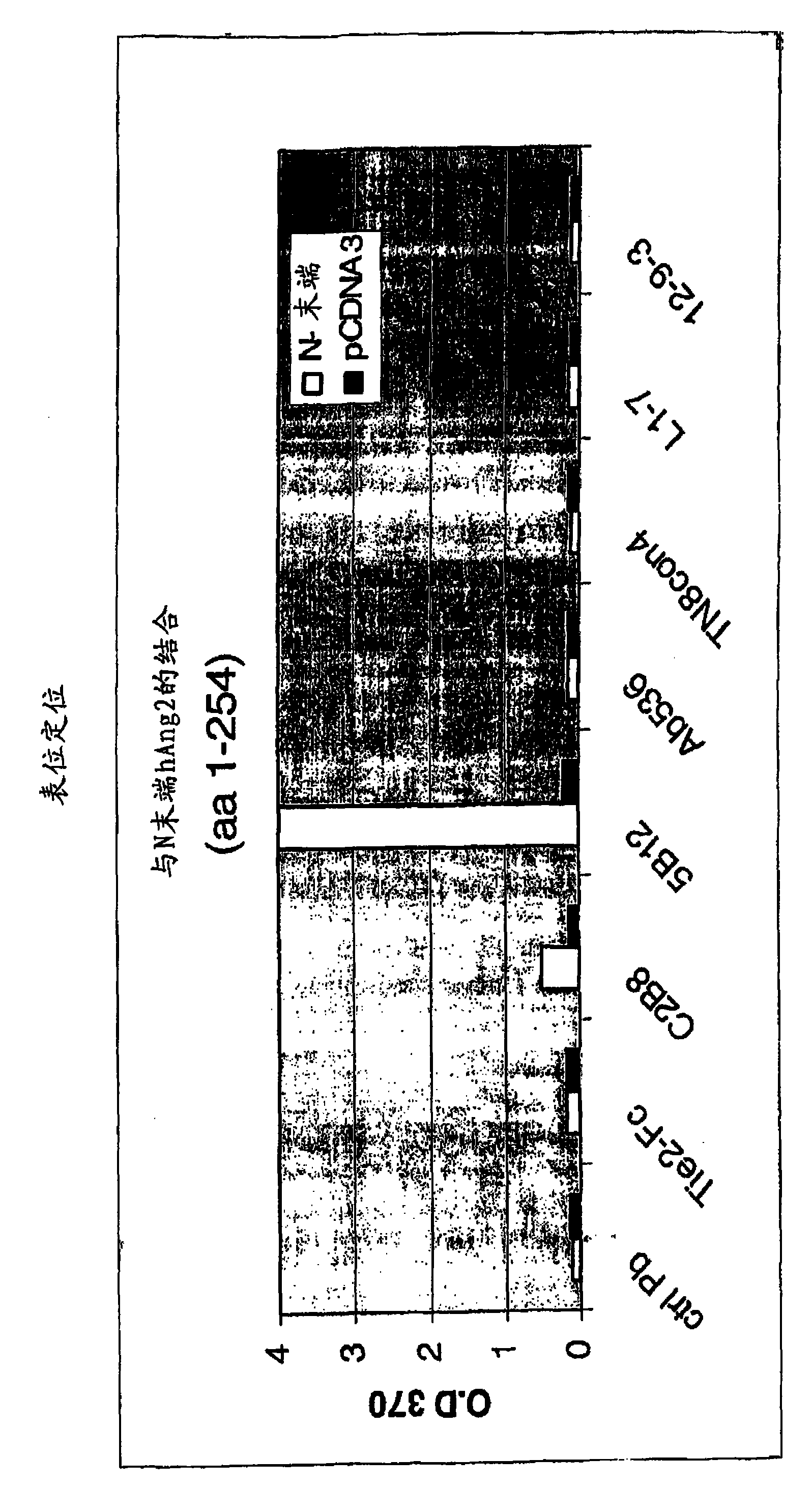 Angiopoietin-2 specific binding agents