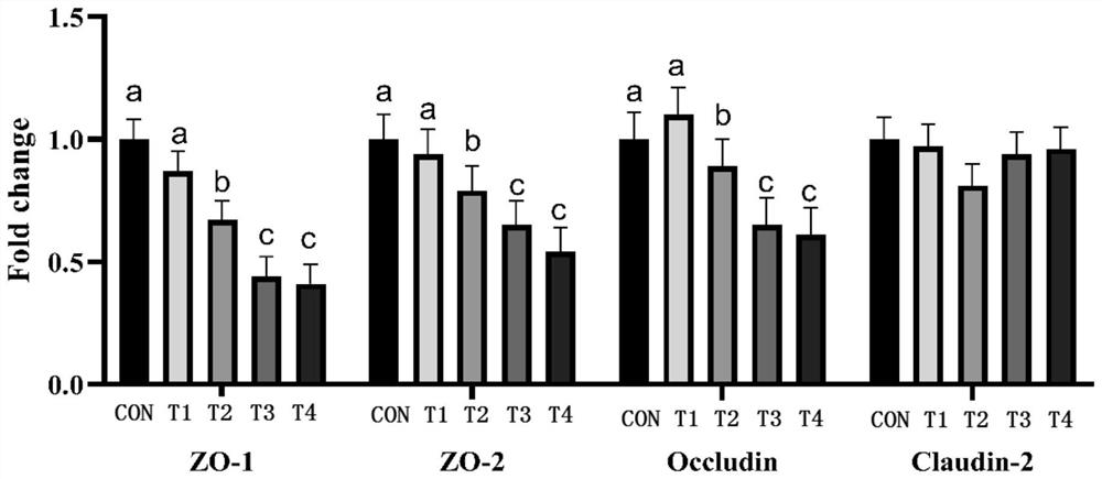 A method for constructing a layer enteroenteritis model