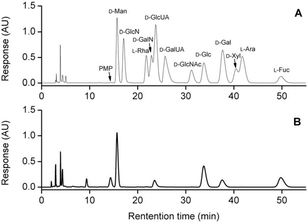 Soil paenibacillus and application thereof