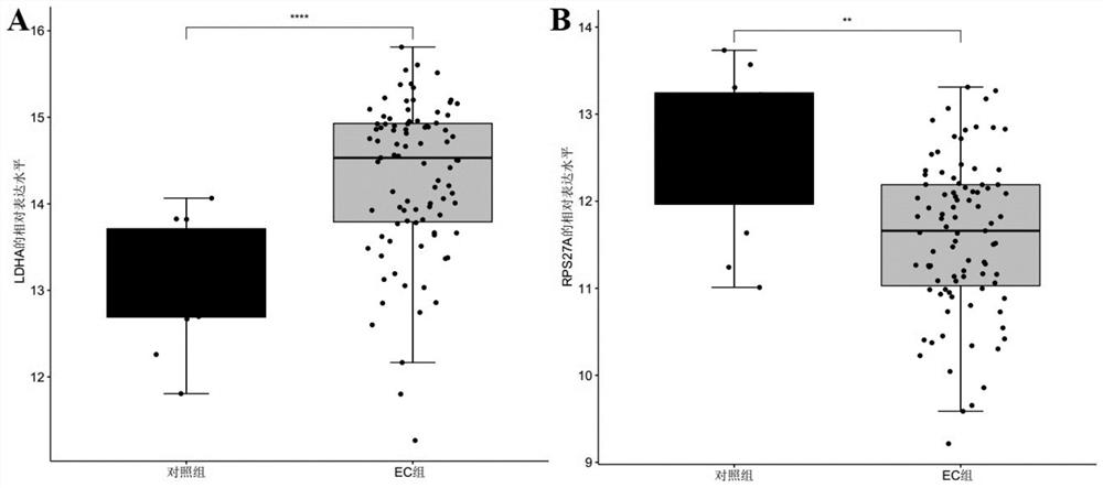 Gene cooperation as endometrial cancer marker and application thereof