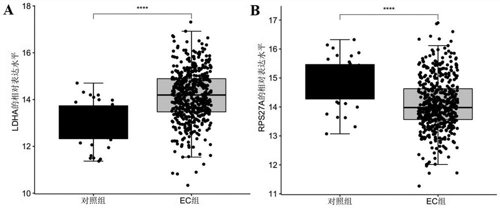 Gene cooperation as endometrial cancer marker and application thereof