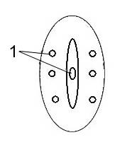 Single-cavity air sac quasi-elliptic catheter