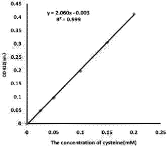 Novel chemotherapeutic drug nano ADC based on antibody conjugation and preparation method and application thereof