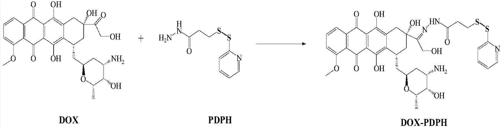 Novel chemotherapeutic drug nano ADC based on antibody conjugation and preparation method and application thereof