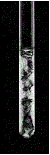 A pollution-free and low-cost process for preparing single-layer graphene oxide