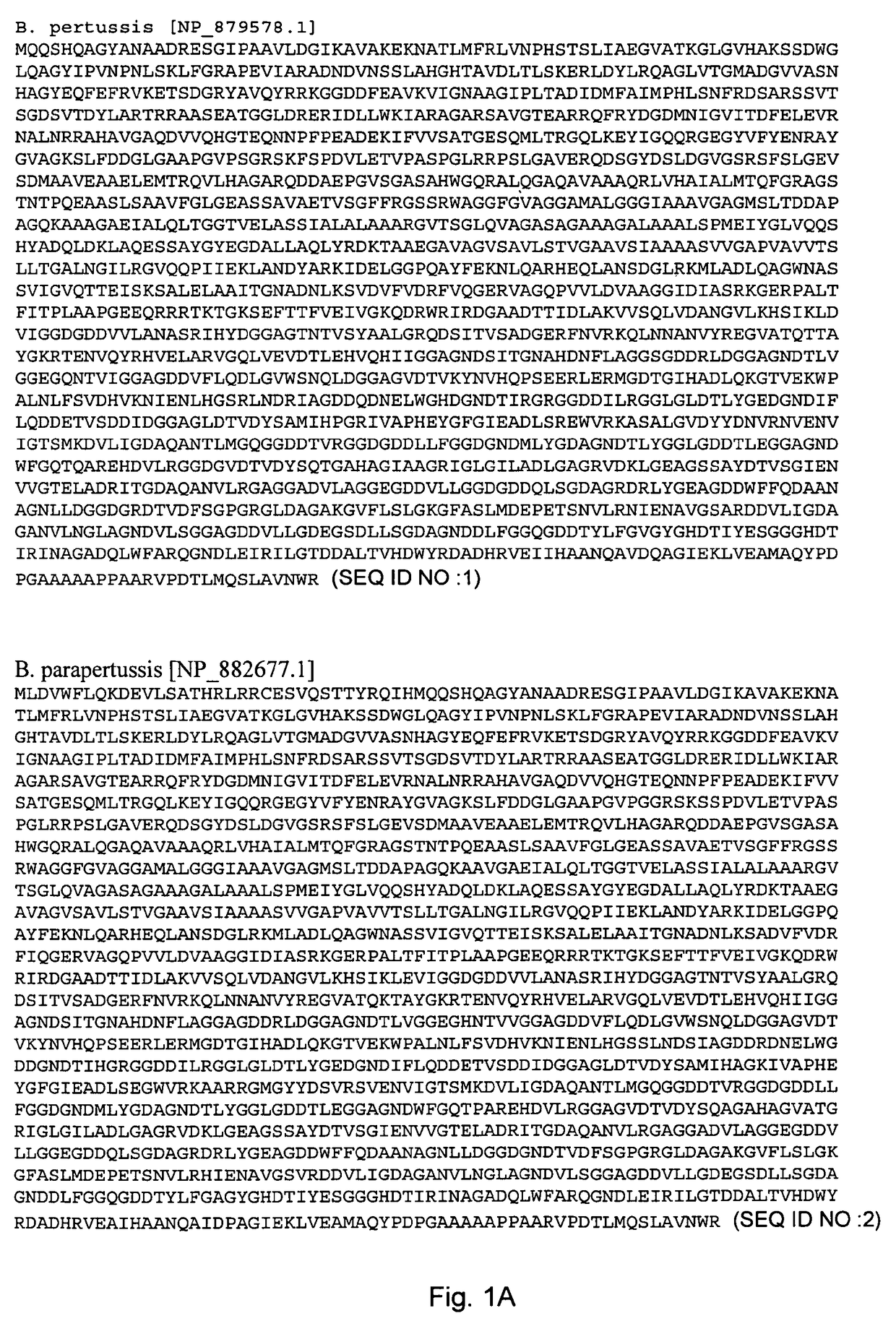 CyaA-carried polypeptide(s) and use to induce both therapeutic and prophylactic immune responses