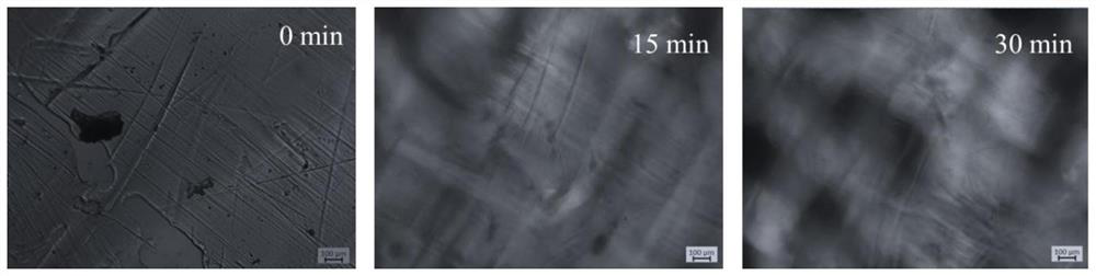 A self-healing in-situ fluorescent tracer heat-resistant and weather-resistant epoxy resin and its preparation method