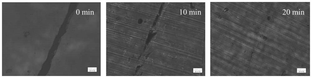 A self-healing in-situ fluorescent tracer heat-resistant and weather-resistant epoxy resin and its preparation method