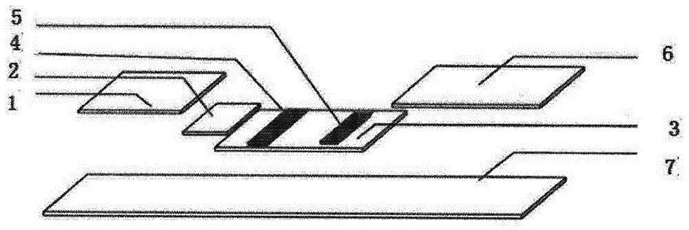 HPV (human papillomavirus) immune colloidal gold diagnostic test strip, method for preparing same and detection method implemented by HPV immune colloidal gold diagnostic test strip