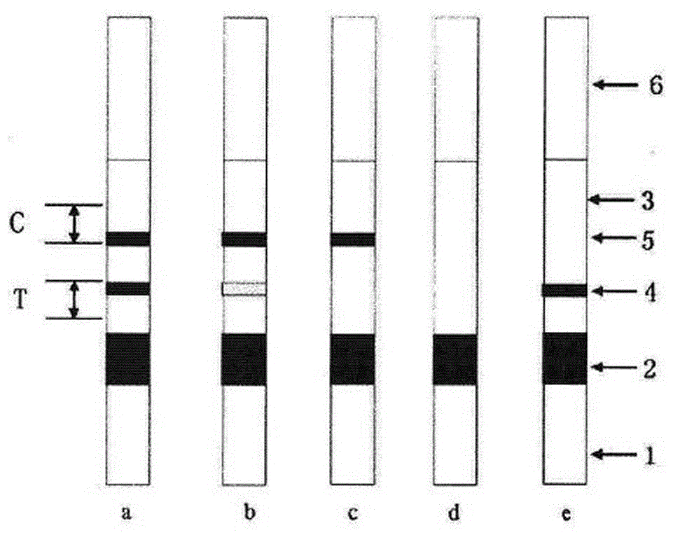 HPV (human papillomavirus) immune colloidal gold diagnostic test strip, method for preparing same and detection method implemented by HPV immune colloidal gold diagnostic test strip