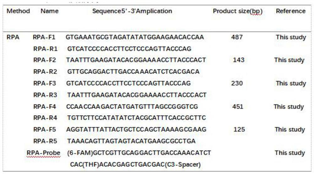 Method for rapidly detecting urogenital tract mycoplasmas based on RPA