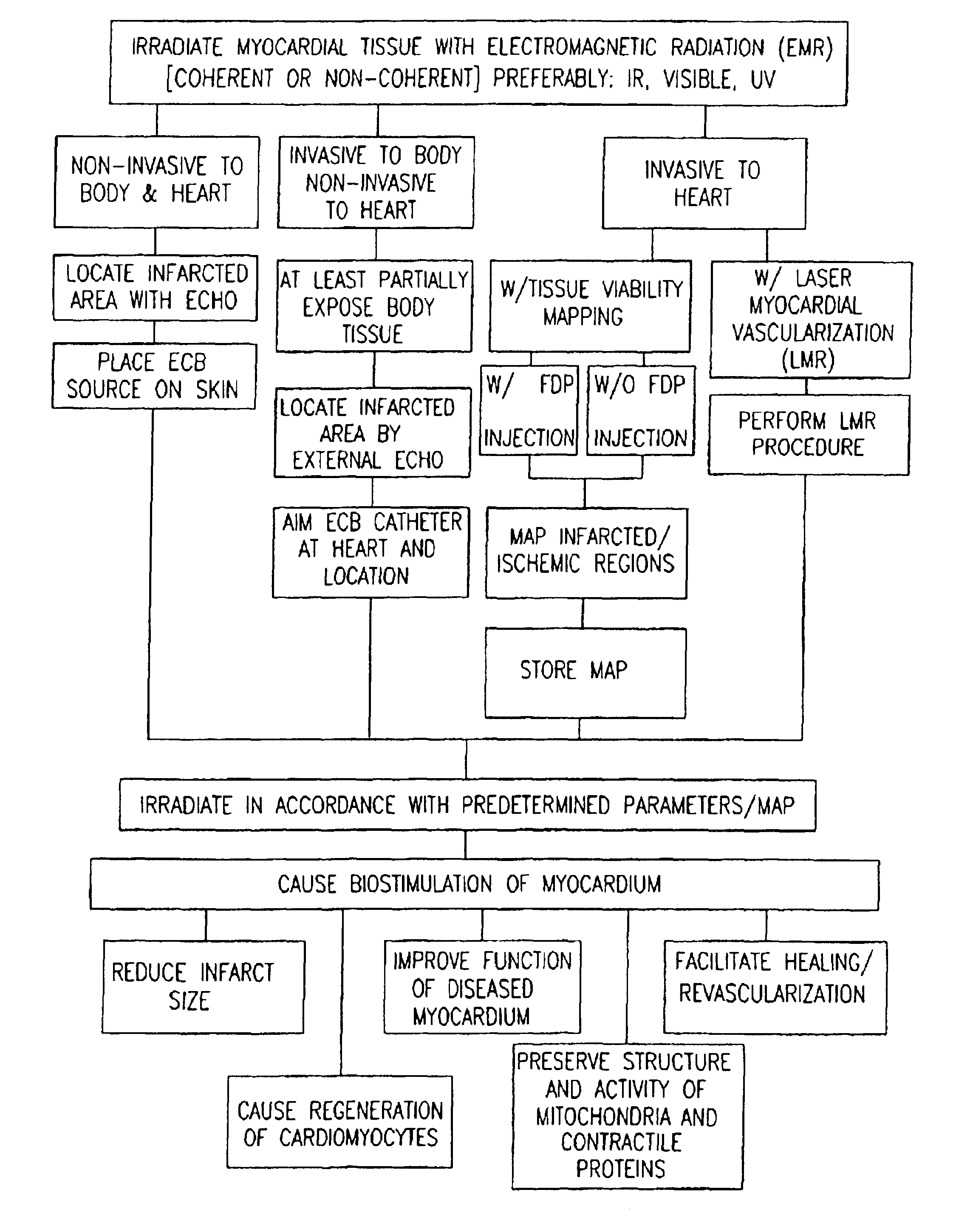 Apparatus for providing electromagnetic biostimulation of tissue using optics and echo imaging