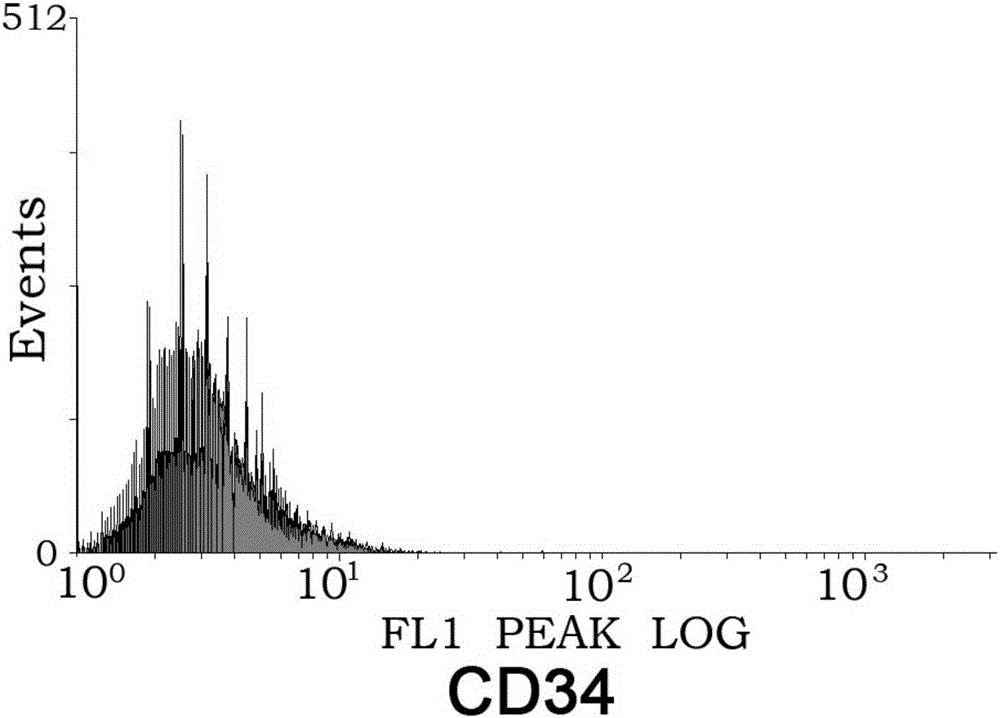 Method for enhancing mesenchymal stem cell chemotactic capacity and chemotactic factor CCL5 expression