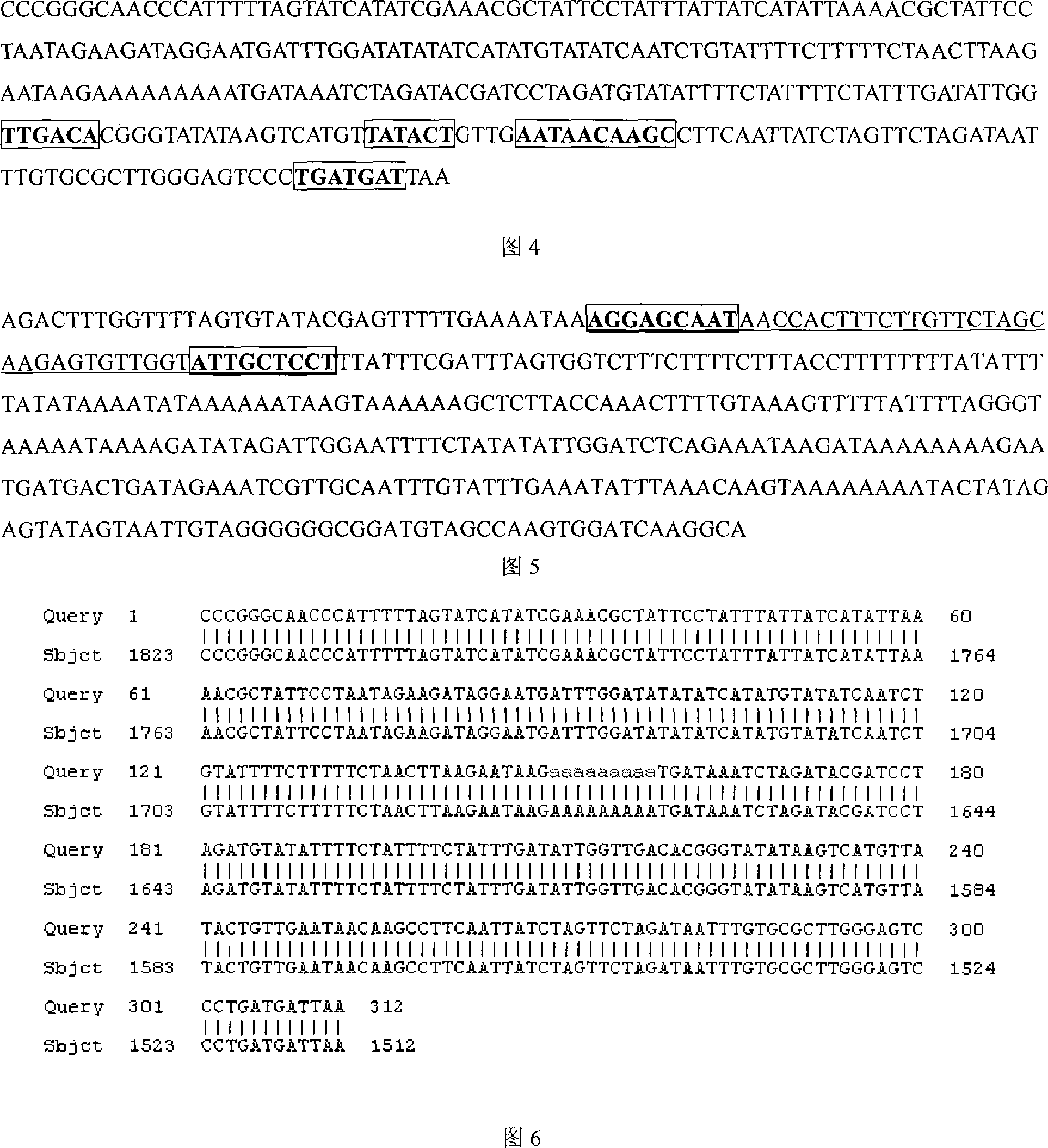 Method for separating cotton chloroplast DNA