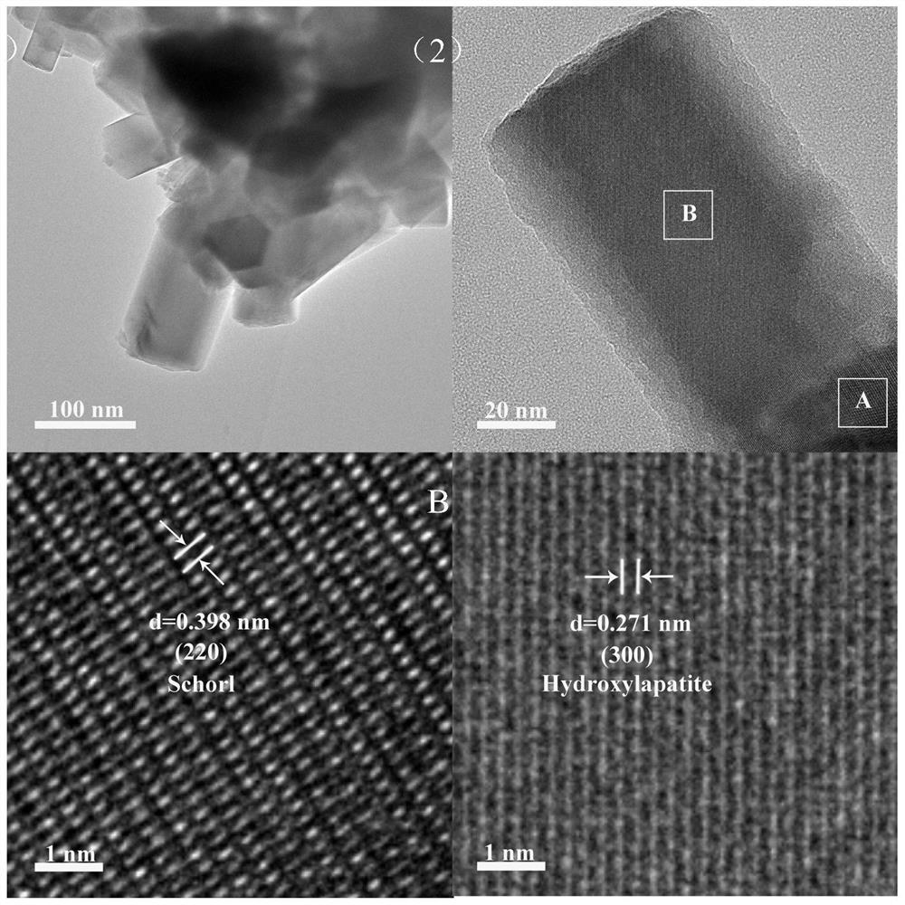 A composite hemostatic repair material and its preparation method