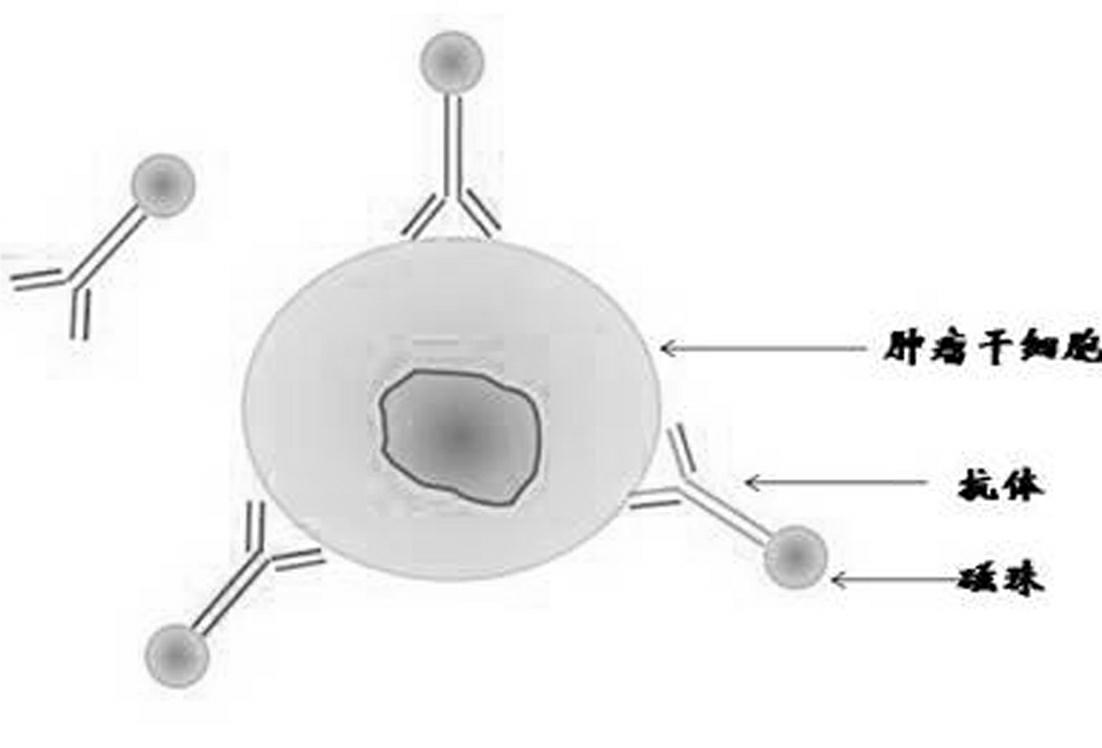 Kit for detecting free colorectal cancer cell markers in blood