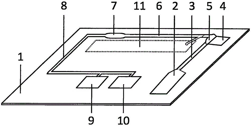 Magnetic particulate chemiluminiscence micro-fluidic chip capable of quantitatively detecting brain natriuretic peptide in whole blood